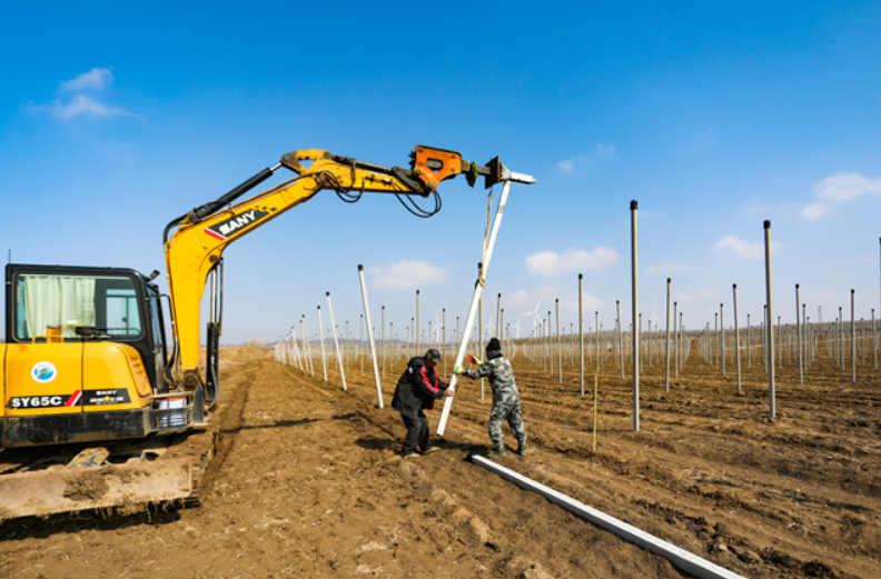 臨港區(qū):智慧農(nóng)業(yè)不簡單,“玩手機”就能種好地