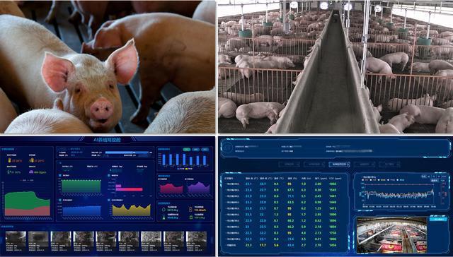 作者:成都世紀(jì)銳通