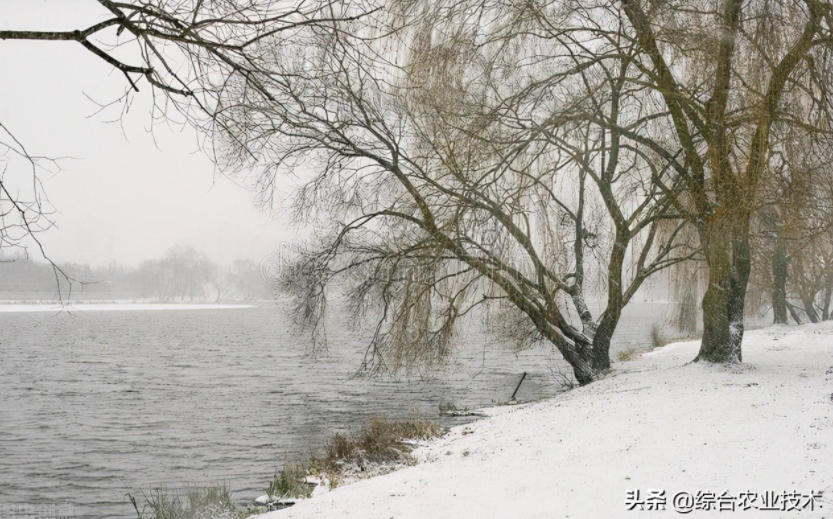 玉米地病蟲害越來越重，冬季閑了有辦法預(yù)防病蟲害嗎？