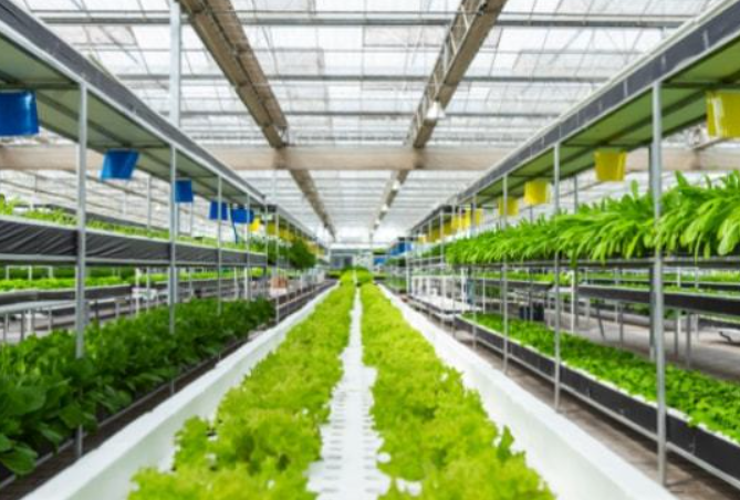 政策:國家支持設(shè)施農(nóng)業(yè)合法用地;雨潤控股:負(fù)債超過1000億元