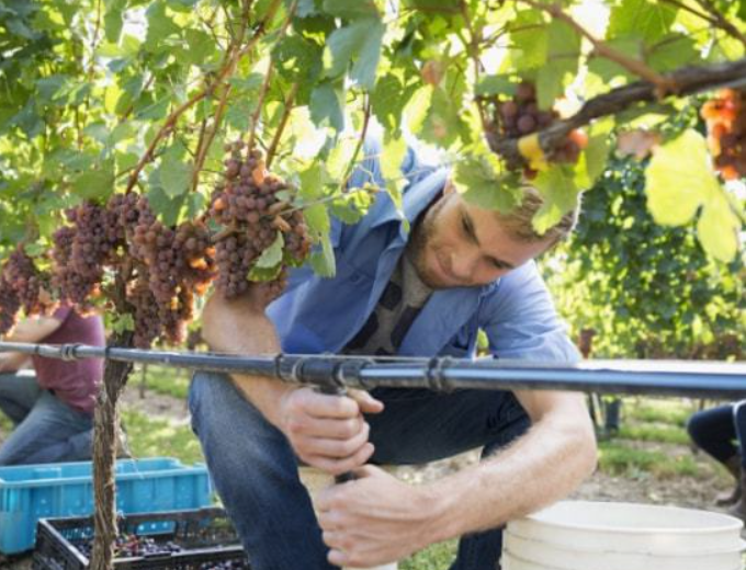 政策:國家支持設(shè)施農(nóng)業(yè)合法用地;雨潤控股:負(fù)債超過1000億元