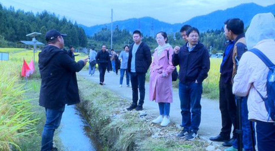 武夷山田間課堂:將農(nóng)技送到田埂