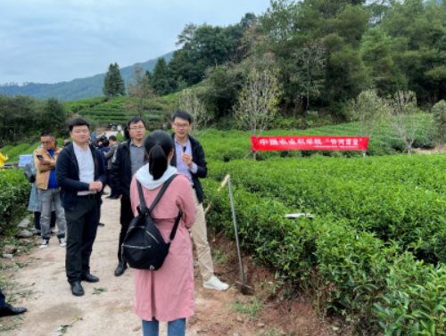 武夷山田間課堂:將農(nóng)技送到田埂