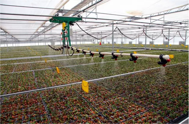 “未來(lái)農(nóng)場(chǎng)”的德清實(shí)踐