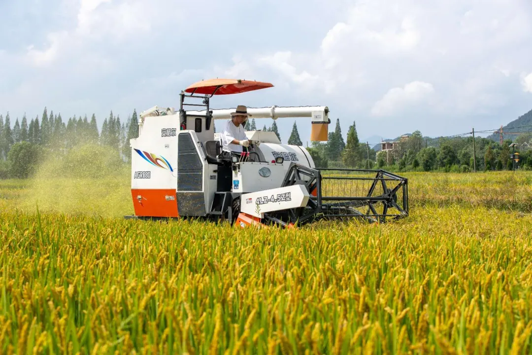 “未來(lái)農(nóng)場(chǎng)”的德清實(shí)踐