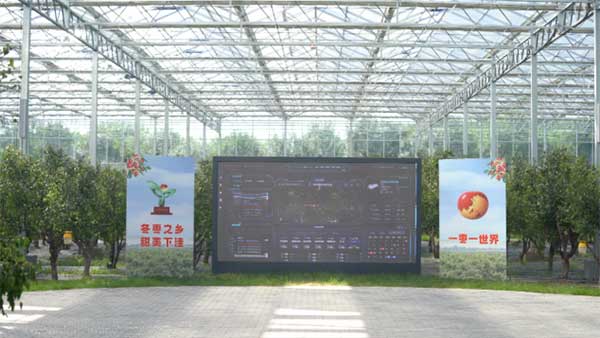 齊魯靈秀地 品牌農(nóng)產(chǎn)品:智慧大棚里的沾化冬棗