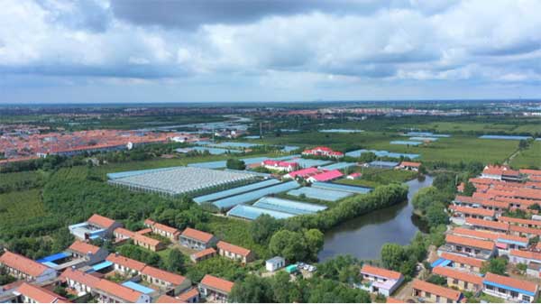 齊魯靈秀地 品牌農(nóng)產(chǎn)品:智慧大棚里的沾化冬棗