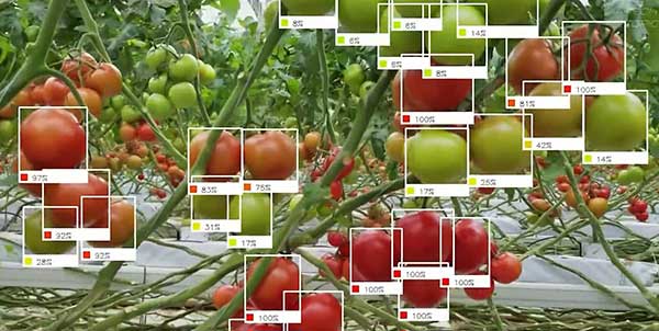 智慧農(nóng)業(yè)的未來(lái)&mdash;&mdash;5款人工智能農(nóng)業(yè)機(jī)器人