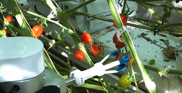 智慧農(nóng)業(yè)的未來(lái)&mdash;&mdash;5款人工智能農(nóng)業(yè)機(jī)器人