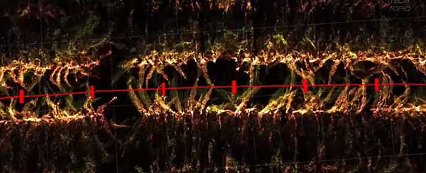 智慧農(nóng)業(yè)的未來(lái)&mdash;&mdash;5款人工智能農(nóng)業(yè)機(jī)器人