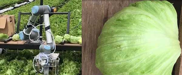 智慧農(nóng)業(yè)的未來(lái)&mdash;&mdash;5款人工智能農(nóng)業(yè)機(jī)器人