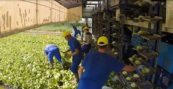 智慧農(nóng)業(yè)的未來(lái)&mdash;&mdash;5款人工智能農(nóng)業(yè)機(jī)器人