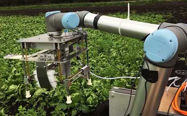 智慧農(nóng)業(yè)的未來(lái)&mdash;&mdash;5款人工智能農(nóng)業(yè)機(jī)器人