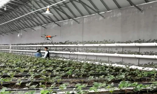 海淀延慶攜手，打造農(nóng)業(yè)跨區(qū)域結(jié)對(duì)協(xié)作示范標(biāo)桿