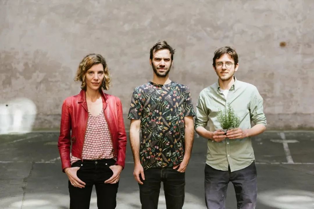 什么是垂直農(nóng)場(chǎng)？垂直農(nóng)場(chǎng)的盈利前景與經(jīng)典案例