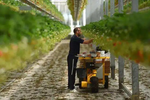 普及農業(yè)機械化：法國成歐盟第一大農業(yè)生產國之關鍵密鑰