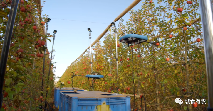 會(huì)摘蘋果的飛行機(jī)器人,從概念圖到商業(yè)化Tevel只用了4年