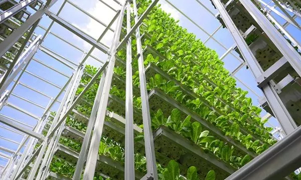 新加坡農(nóng)業(yè)：5大創(chuàng)新玩法，中國(guó)農(nóng)業(yè)值得借鑒