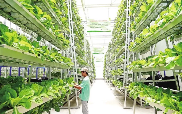 新加坡農(nóng)業(yè)：5大創(chuàng)新玩法，中國(guó)農(nóng)業(yè)值得借鑒