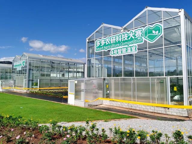 “智慧農(nóng)業(yè)”拉動引擎,拼多多助鄉(xiāng)村振興