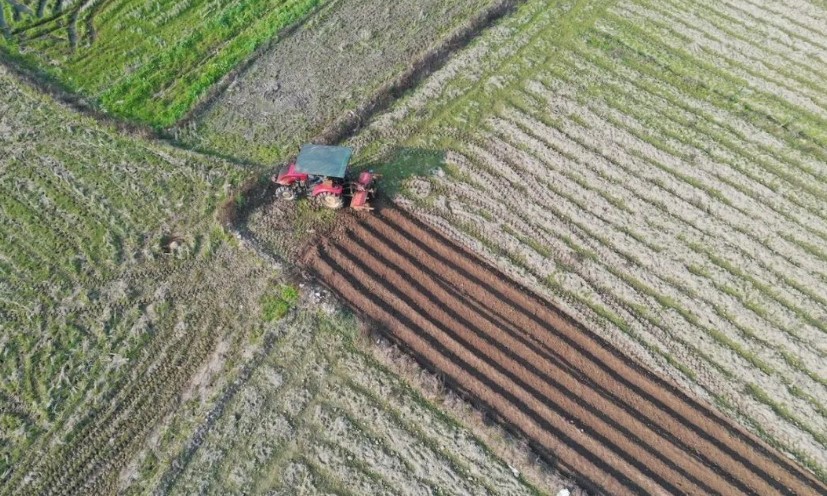2022耕地地力保護(hù)補貼各地新標(biāo)準(zhǔn)，一畝補多少錢？速看