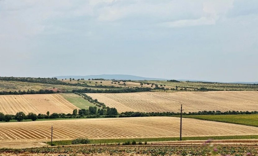 2022耕地地力保護(hù)補貼各地新標(biāo)準(zhǔn)，一畝補多少錢？速看