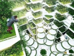 資本青睞的“垂直農(nóng)業(yè)”，能代表農(nóng)業(yè)的未來嗎？