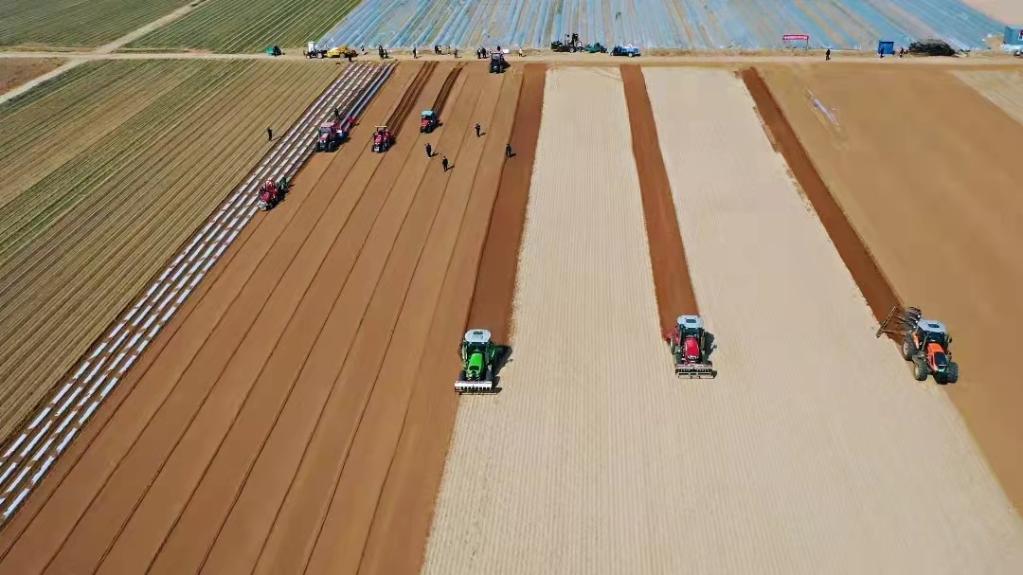 高標(biāo)準(zhǔn)農(nóng)田備春耕一線觀察:藏糧于地“高標(biāo)準(zhǔn)” 提擋升級(jí)“解愁盼” 高標(biāo)準(zhǔn)農(nóng)田備春耕一線觀察:藏糧于地“高標(biāo)準(zhǔn)” 提擋升級(jí)“解愁盼”