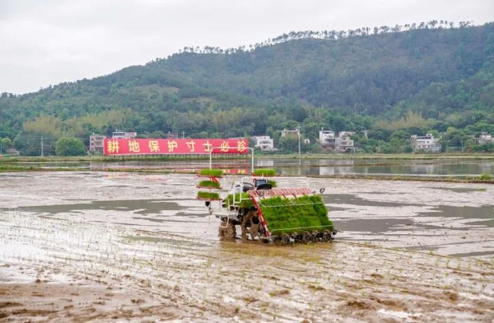 羅錫文院士：將這里打造成無人智慧農(nóng)場(chǎng)樣板！