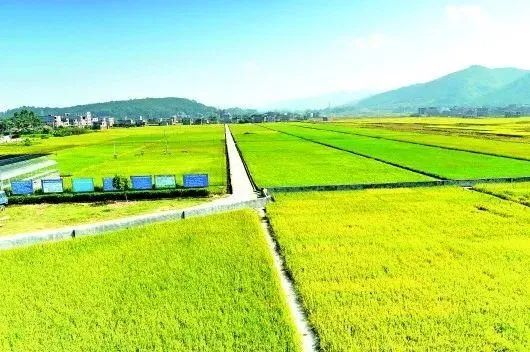 《高標(biāo)準(zhǔn)農(nóng)田建設(shè)通則》國家標(biāo)準(zhǔn)發(fā)布