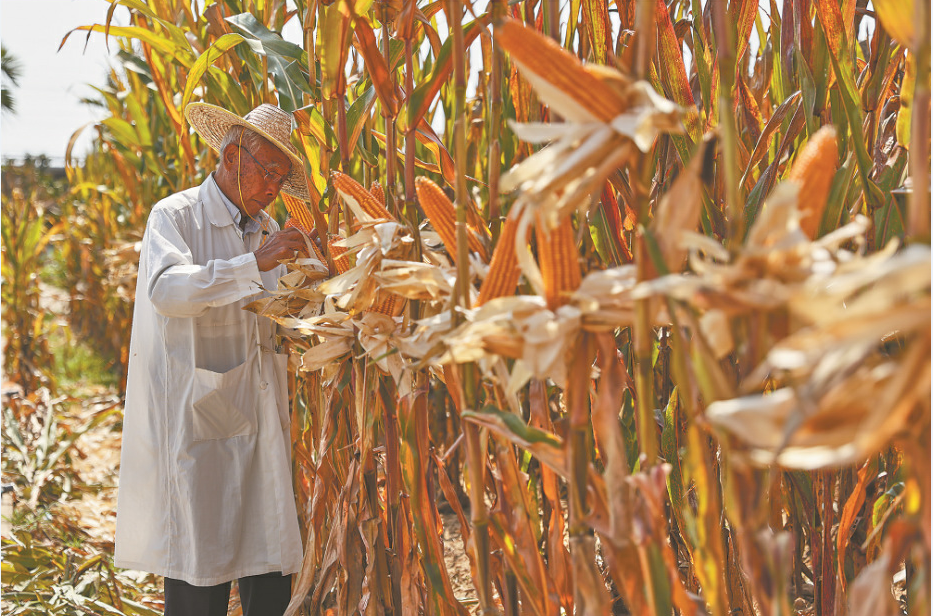 深度透視！農(nóng)業(yè)“芯片”：中國(guó)種子戰(zhàn)略