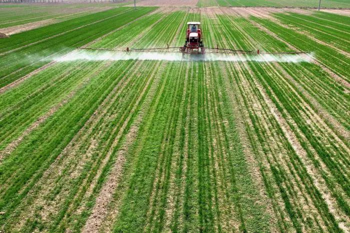 遙感+農業(yè) 從“看天吃飯”到“知天而作”