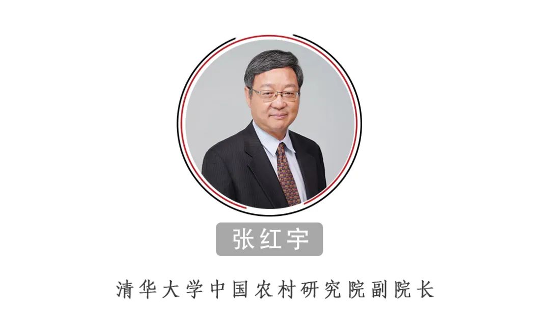 張紅宇：中國的糧食供給安全嗎？絕對沒有問題！