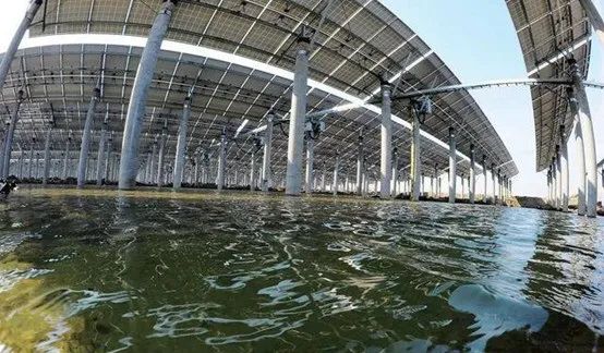 光伏農業(yè)：政策利好，鄉(xiāng)村振興加速器，但商業(yè)模式有待升級