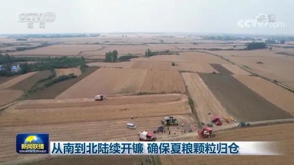 從南到北陸續(xù)開(kāi)鐮 確保夏糧顆粒歸倉(cāng)