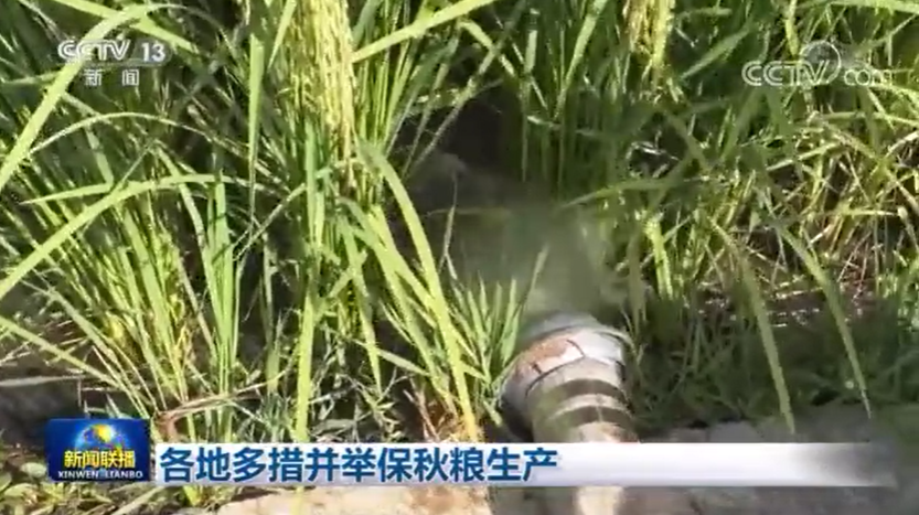 新聞聯(lián)播:各地多措并舉保秋糧生產(chǎn) 新聞聯(lián)播:各地多措并舉保秋糧生產(chǎn)