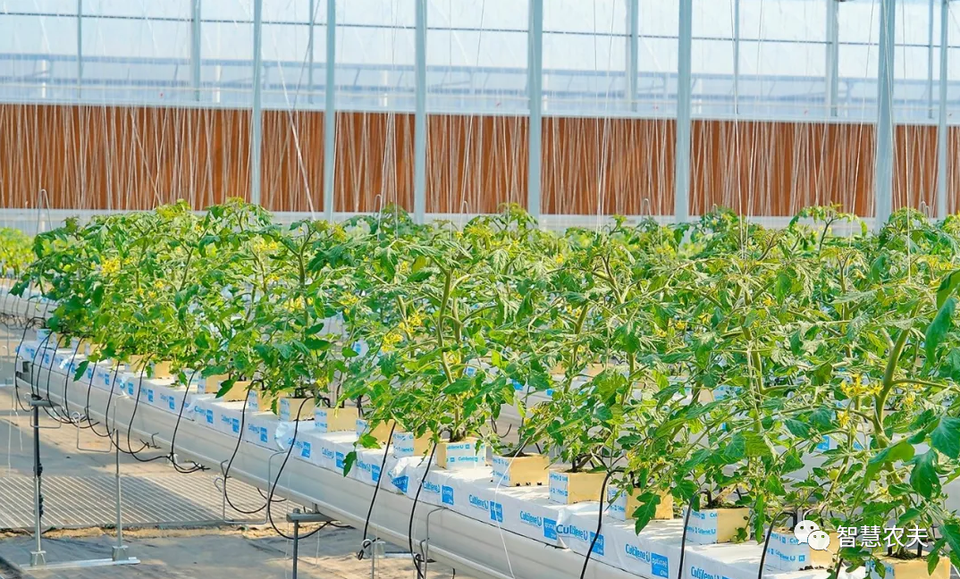 農(nóng)業(yè)部出手，智慧農(nóng)業(yè)將迎來(lái)七個(gè)方面全面突破！