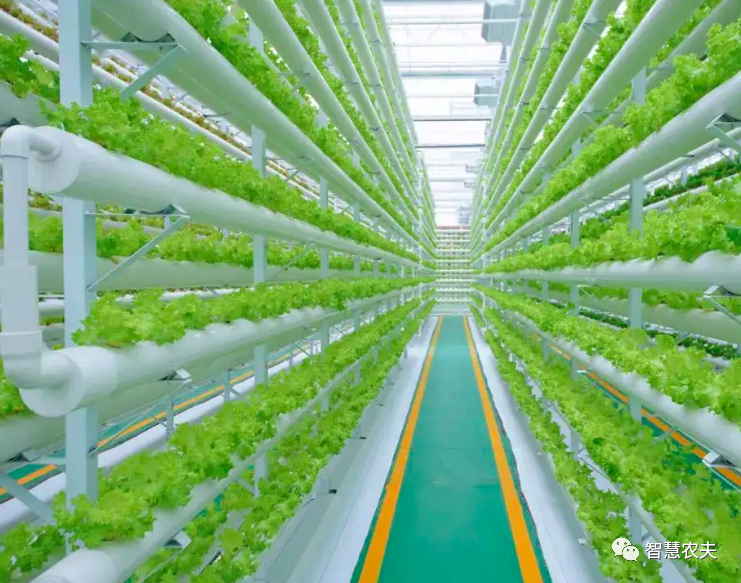 農(nóng)業(yè)部出手，智慧農(nóng)業(yè)將迎來(lái)七個(gè)方面全面突破！