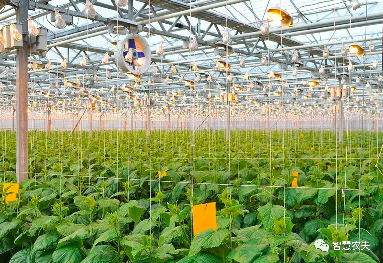 農(nóng)業(yè)部出手，智慧農(nóng)業(yè)將迎來(lái)七個(gè)方面全面突破！