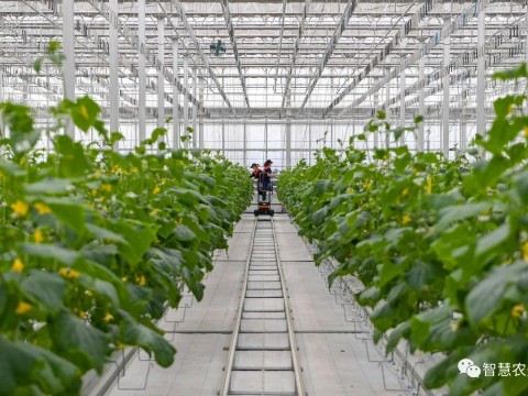 農(nóng)業(yè)部出手，智慧農(nóng)業(yè)將迎來七個方面全面突破！