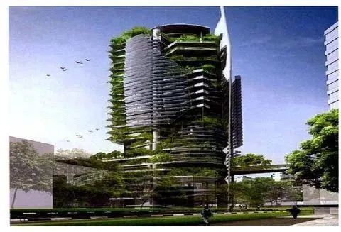 垂直農(nóng)業(yè)：鏈接城市和農(nóng)業(yè)的新模式