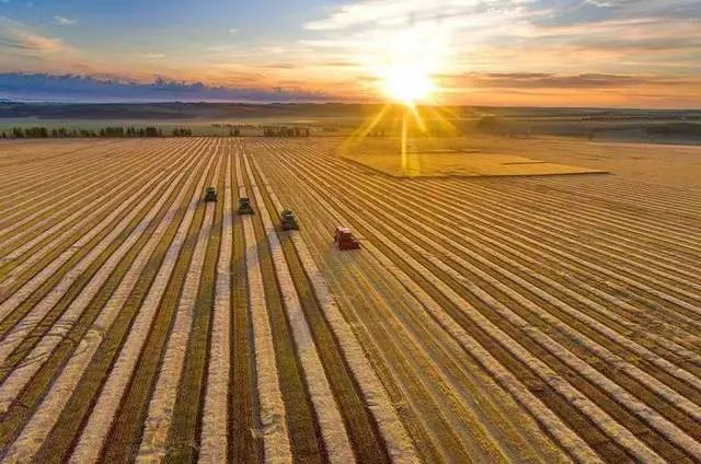 陳文勝:中國農(nóng)業(yè)現(xiàn)代化的基本趨勢與未來任務(wù) 陳文勝:中國農(nóng)業(yè)現(xiàn)代化的基本趨勢與未來任務(wù)