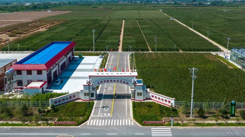 全國種業(yè)基地提升工作推進會在京召開