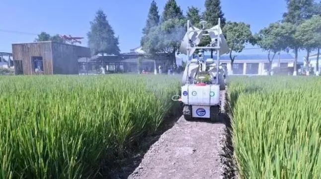 上海智慧農(nóng)場(chǎng)：5G讓無人農(nóng)機(jī)在田間“跑”起來