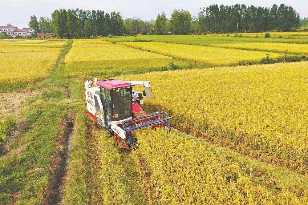 農(nóng)業(yè)農(nóng)村部:今年實(shí)現(xiàn)1.3萬億斤以上糧食產(chǎn)量目標(biāo)有把握 農(nóng)業(yè)農(nóng)村部:今年實(shí)現(xiàn)1.3萬億斤以上糧食產(chǎn)量目標(biāo)有把握