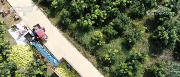 農(nóng)村居民人均可支配收入14600元 實際增長4.3%