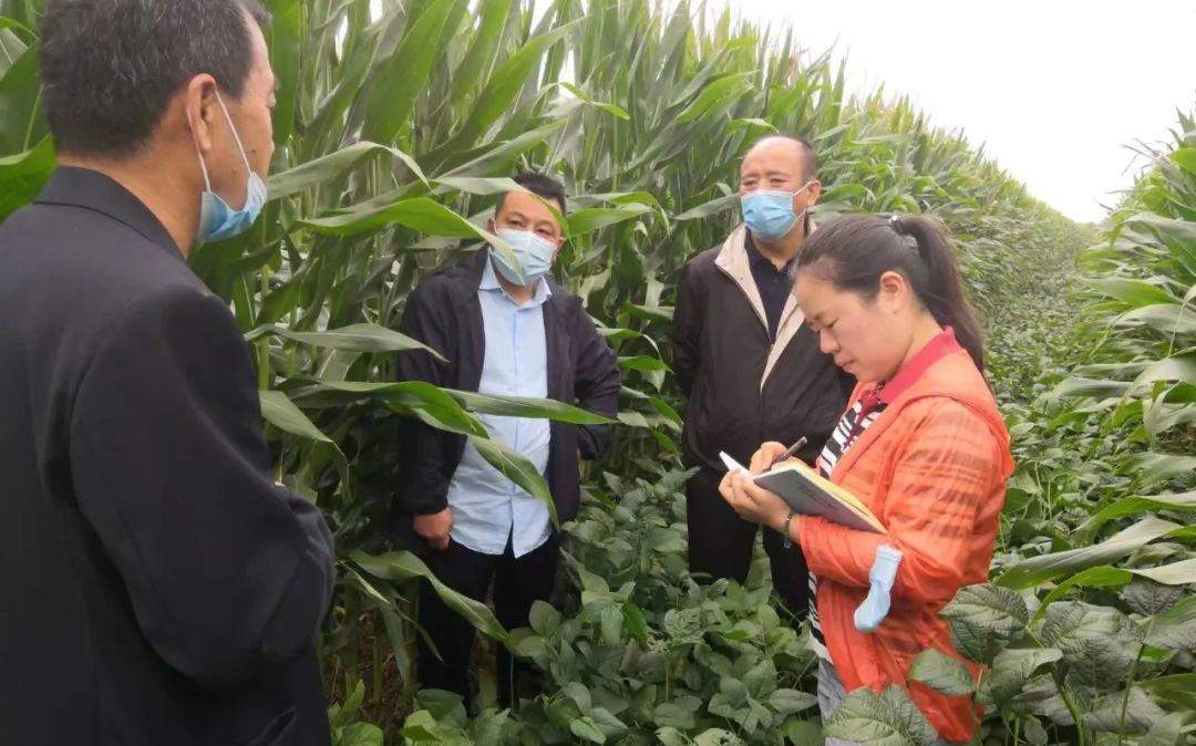 今年全國(guó)2200萬(wàn)畝大豆擴(kuò)產(chǎn)目標(biāo) 預(yù)計(jì)將超額完成 今年全國(guó)2200萬(wàn)畝大豆擴(kuò)產(chǎn)目標(biāo) 預(yù)計(jì)將超額完成