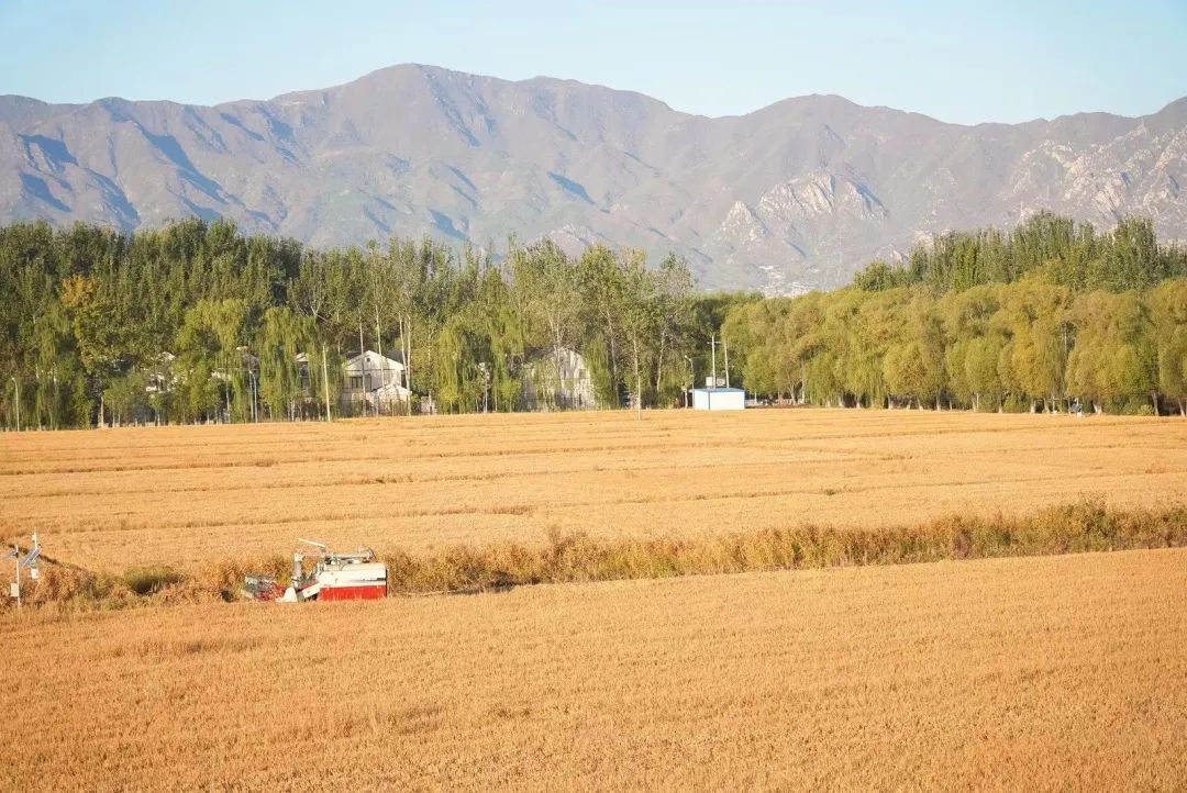 科技改變世界！智能農(nóng)機助力中國！