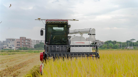 我國(guó)農(nóng)業(yè)機(jī)械化水平不斷提高 蘿卜小麥水稻棉花等都用北斗導(dǎo)航