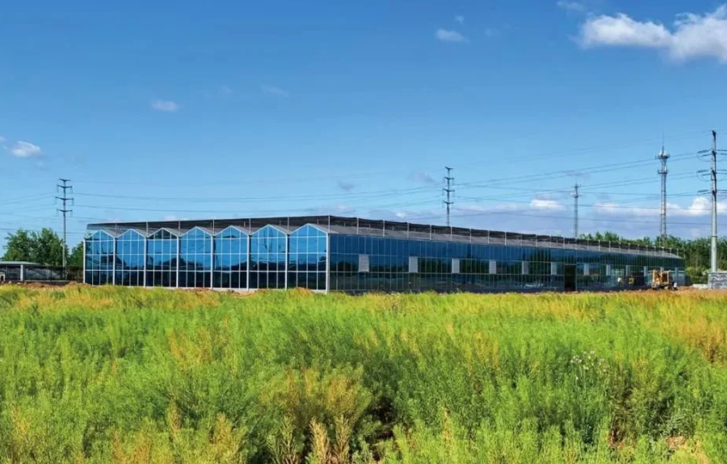 2023年農(nóng)業(yè)農(nóng)村部重點(diǎn)扶持的28類(lèi)項(xiàng)目 2023年農(nóng)業(yè)農(nóng)村部重點(diǎn)扶持的28類(lèi)項(xiàng)目